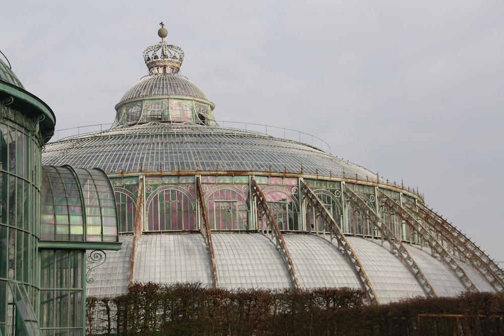 Du vert dans du verre