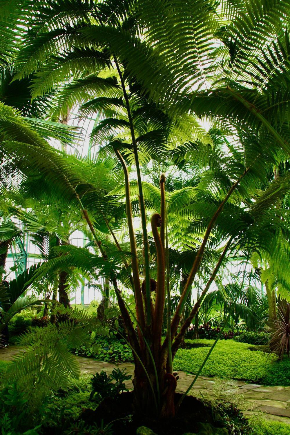 Un drôle d’animal Un drôle d’animal