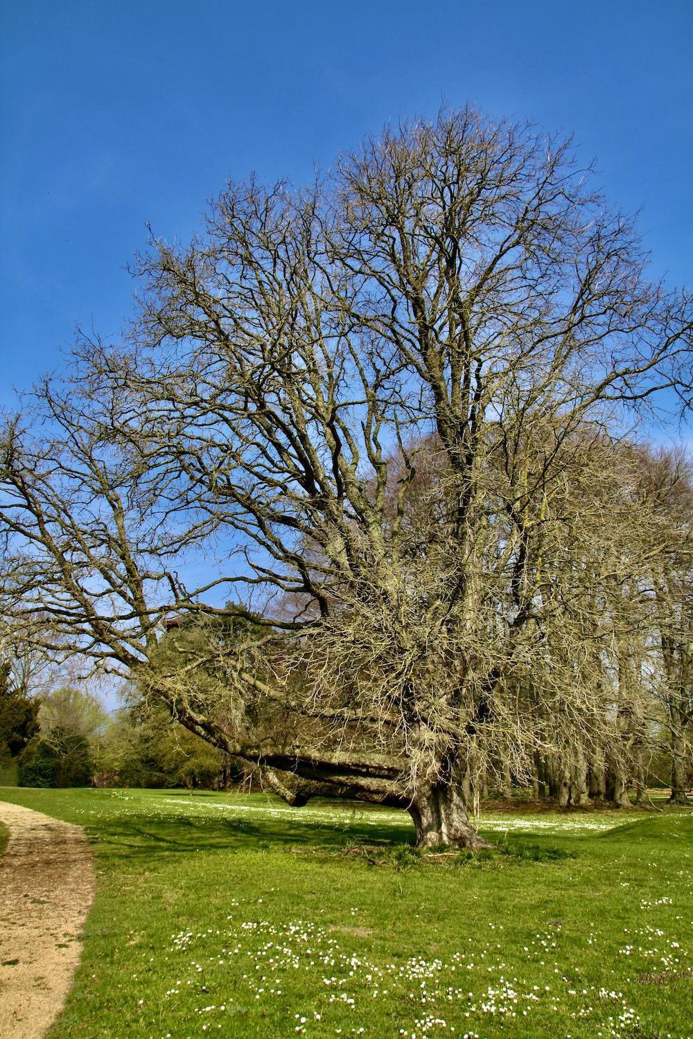 C’est Byzance ! C’est Byzance !