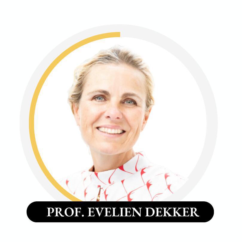 Elegance Faculty Elegance Faculty