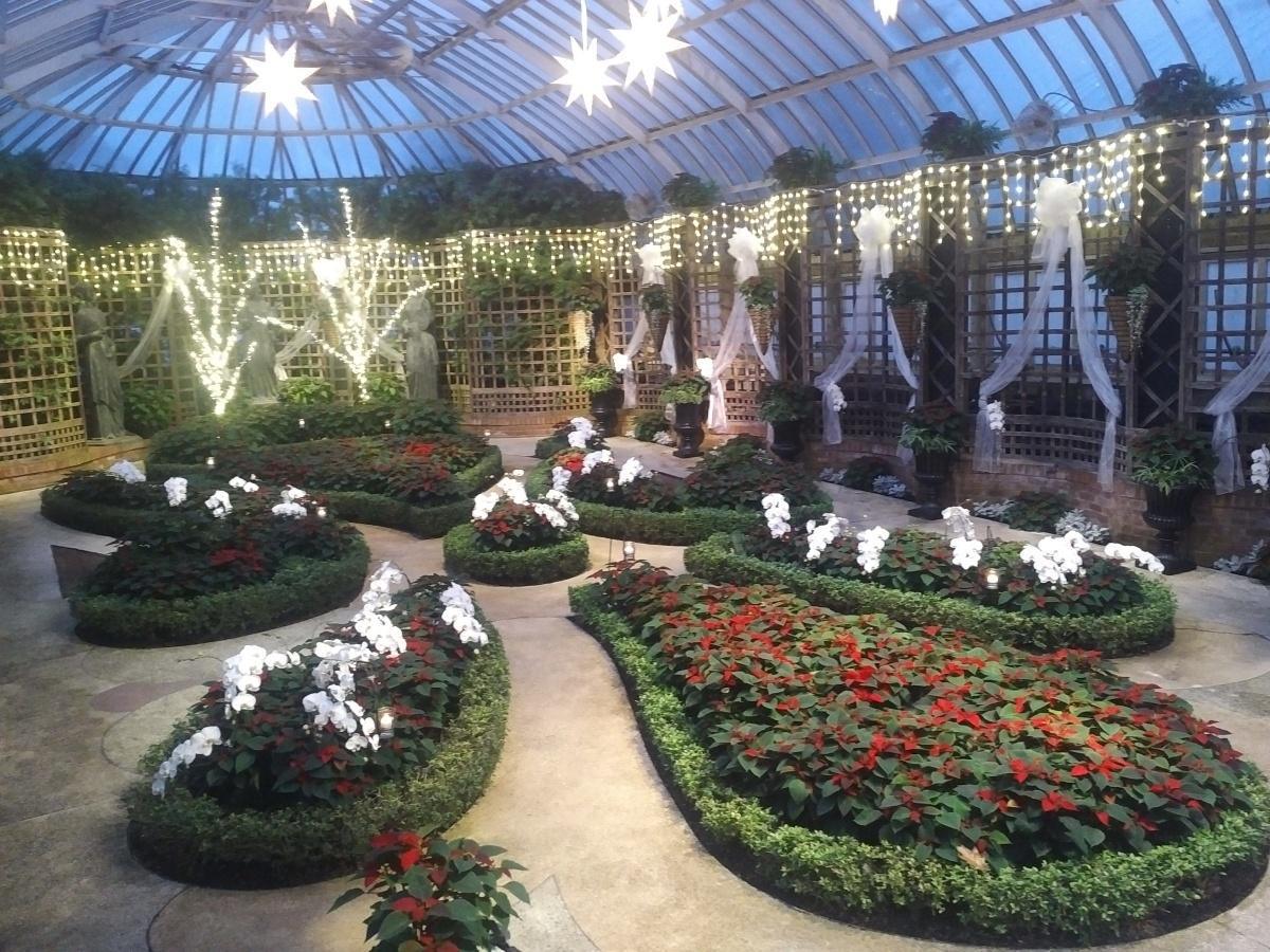 Just the Phipp...s Just the Phipp...s