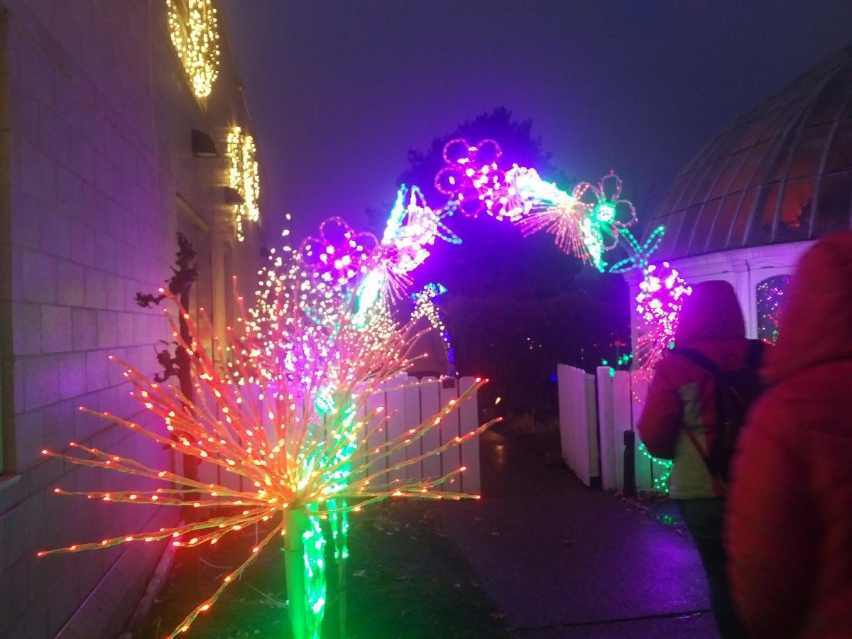 Just the Phipp...s Just the Phipp...s