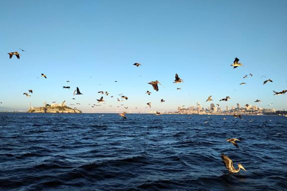 Set sail for an iconic adventure Set sail for an iconic adventure