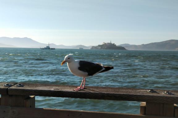 Set sail for an iconic adventure