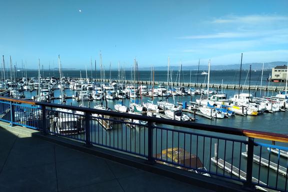 Swim the bay all the way