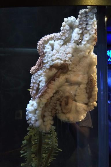 Swim the bay all the way Swim the bay all the way