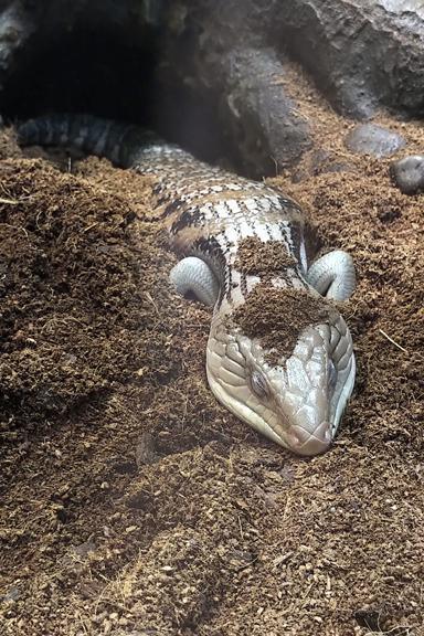 Swim the bay all the way Swim the bay all the way