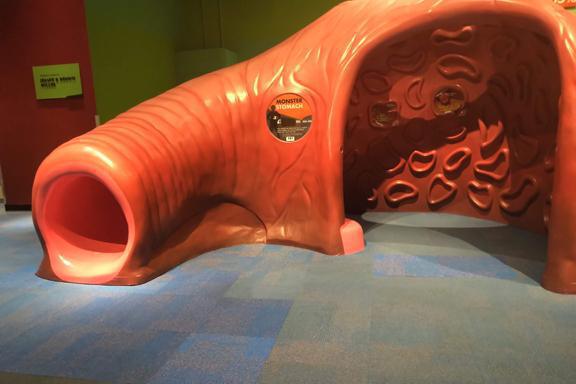 Mummies, colons and more (What else do you need??) Mummies, colons and more (What else do you need??)