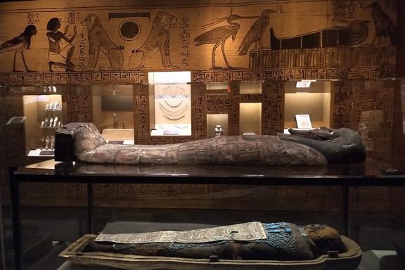 Mummies, colons and more (What else do you need??) Mummies, colons and more (What else do you need??)