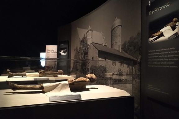 Mummies, colons and more (What else do you need??) Mummies, colons and more (What else do you need??)