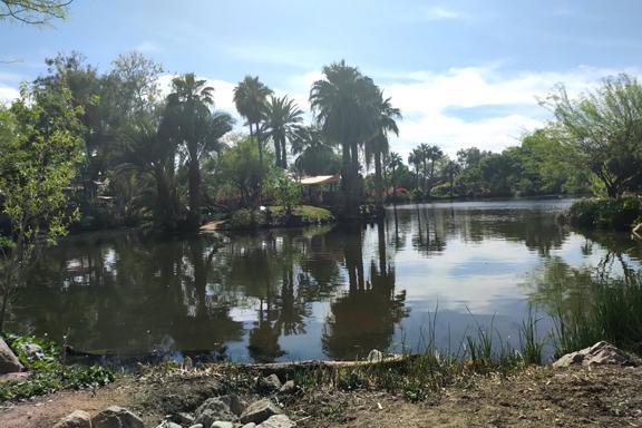 Things get wild with these folks Things get wild with these folks