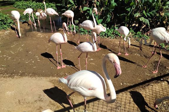 Things get wild with these folks Things get wild with these folks