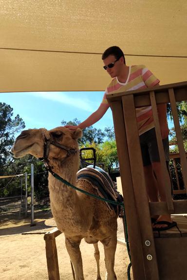 Things get wild with these folks Things get wild with these folks