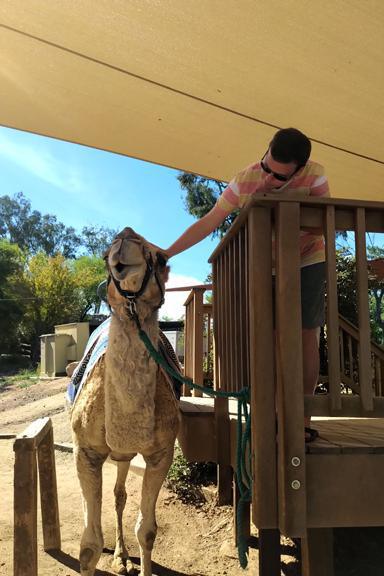 Things get wild with these folks Things get wild with these folks