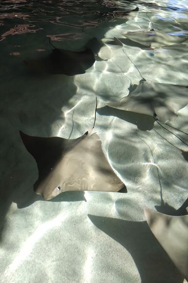 Things get wild with these folks Things get wild with these folks