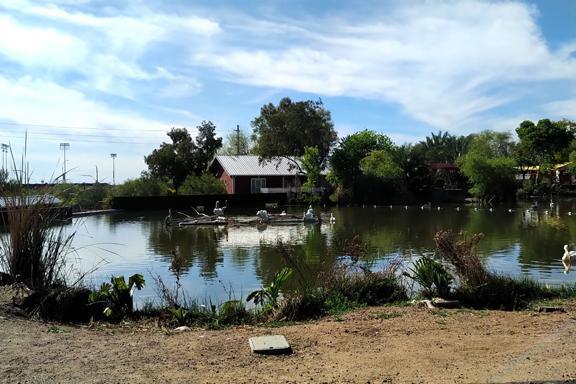 Things get wild with these folks Things get wild with these folks