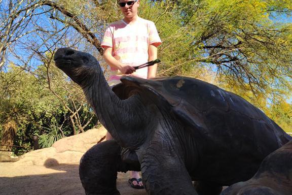 Things get wild with these folks Things get wild with these folks