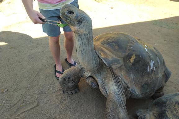 Things get wild with these folks Things get wild with these folks