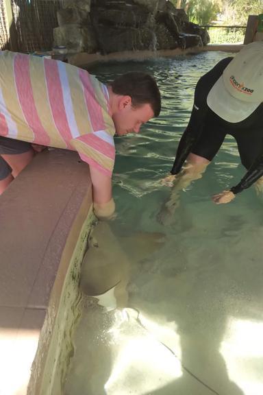 Things get wild with these folks Things get wild with these folks