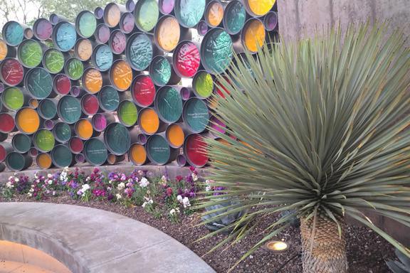 Sunset in the desert garden
