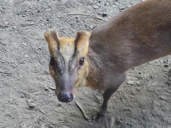 Wait, sorry, I'm feeding a ferocious what that can kill me? Wait, sorry, I'm feeding a ferocious what that can kill me?