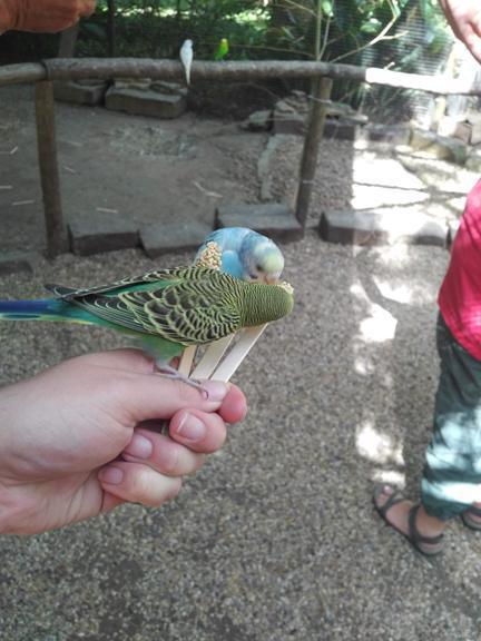 Wait, sorry, I'm feeding a ferocious what that can kill me? Wait, sorry, I'm feeding a ferocious what that can kill me?