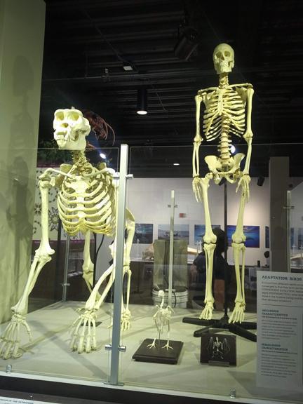 This place makes me feel smart This place makes me feel smart