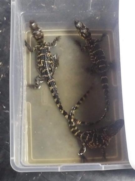 This place makes me feel smart This place makes me feel smart