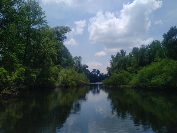 Can we wrestle these gators?? Can we wrestle these gators??