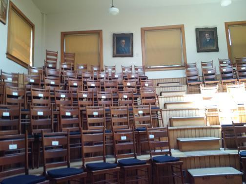 I can see your brain! I can see your brain!