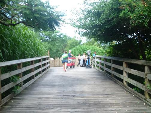 What a buncha animals! What a buncha animals!