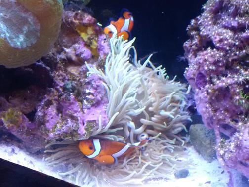 What a buncha animals! What a buncha animals!