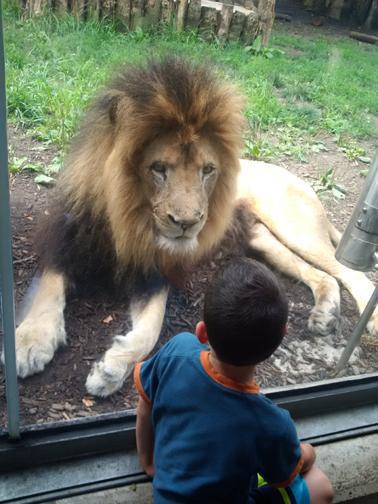 What a buncha animals! What a buncha animals!