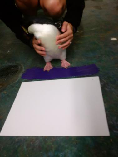 What a buncha animals! What a buncha animals!