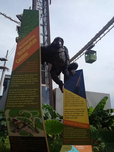 What a buncha animals! What a buncha animals!