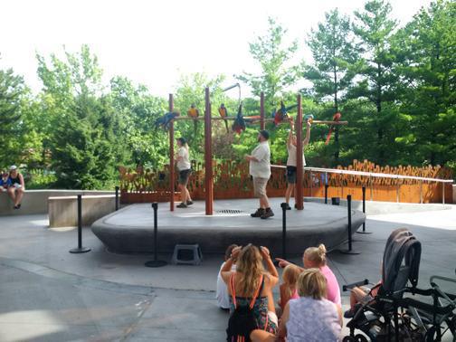 What a buncha animals! What a buncha animals!