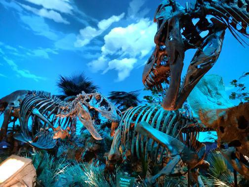 Where everyone can be a kid again Where everyone can be a kid again