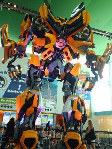 Where everyone can be a kid again