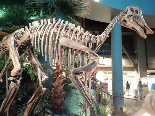 Where everyone can be a kid again Where everyone can be a kid again