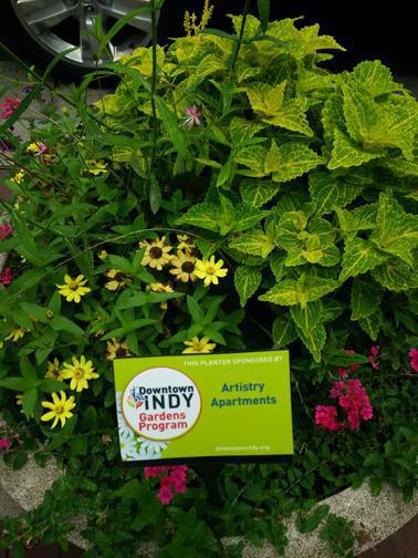 Go to town underground Go to town underground