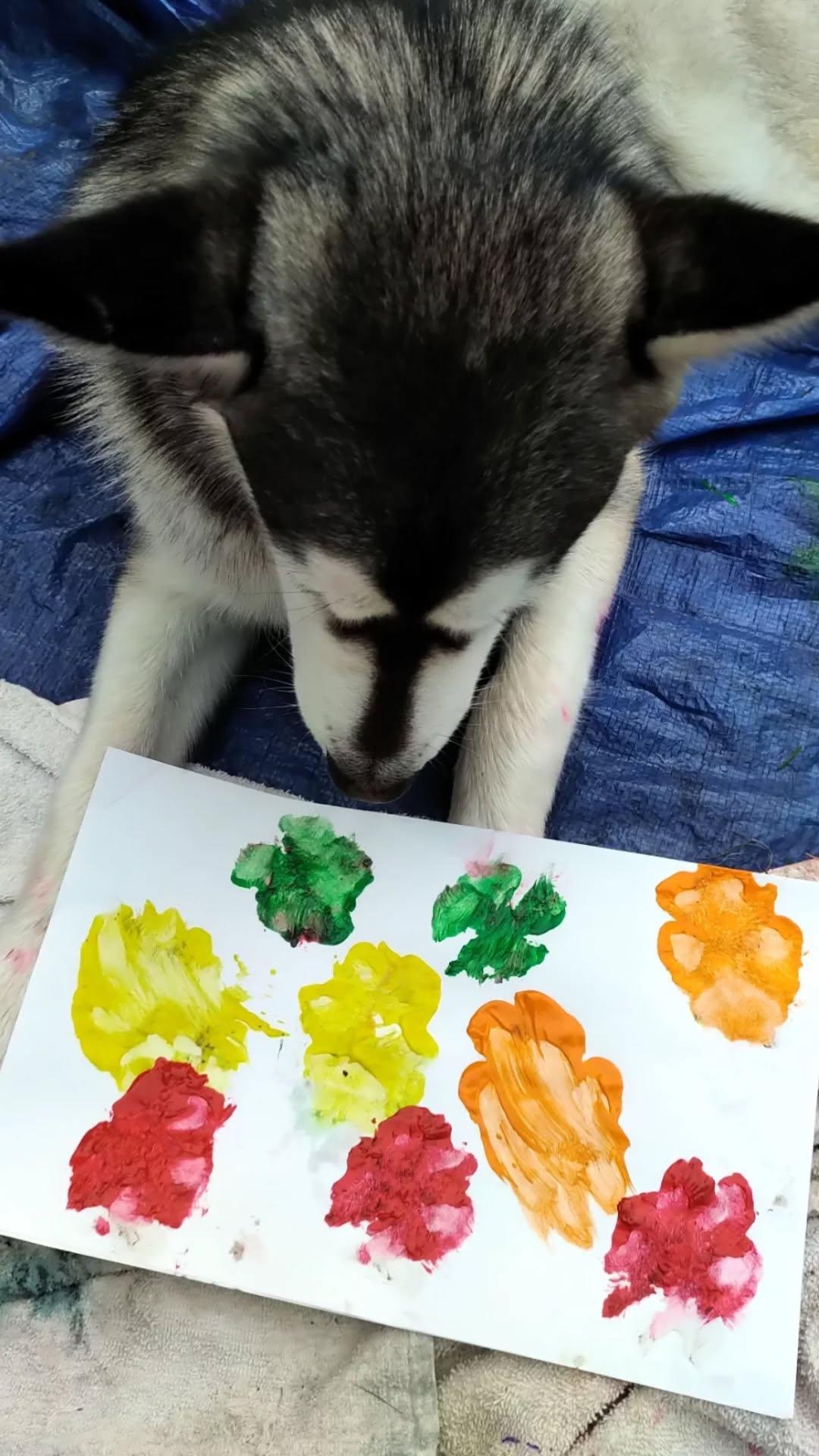 Dogs painting turned into Buff body art Dogs painting turned into Buff body art