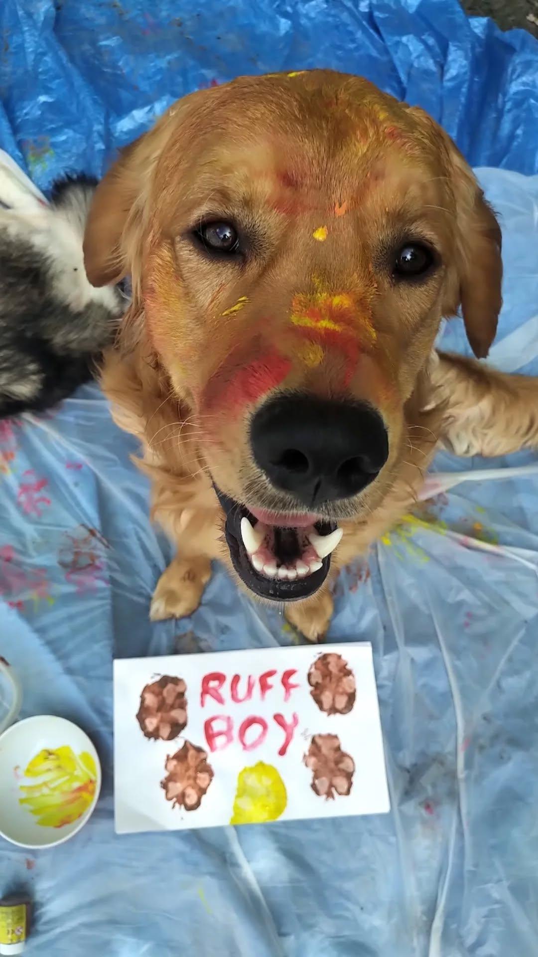 Dogs painting turned into Buff body art Dogs painting turned into Buff body art