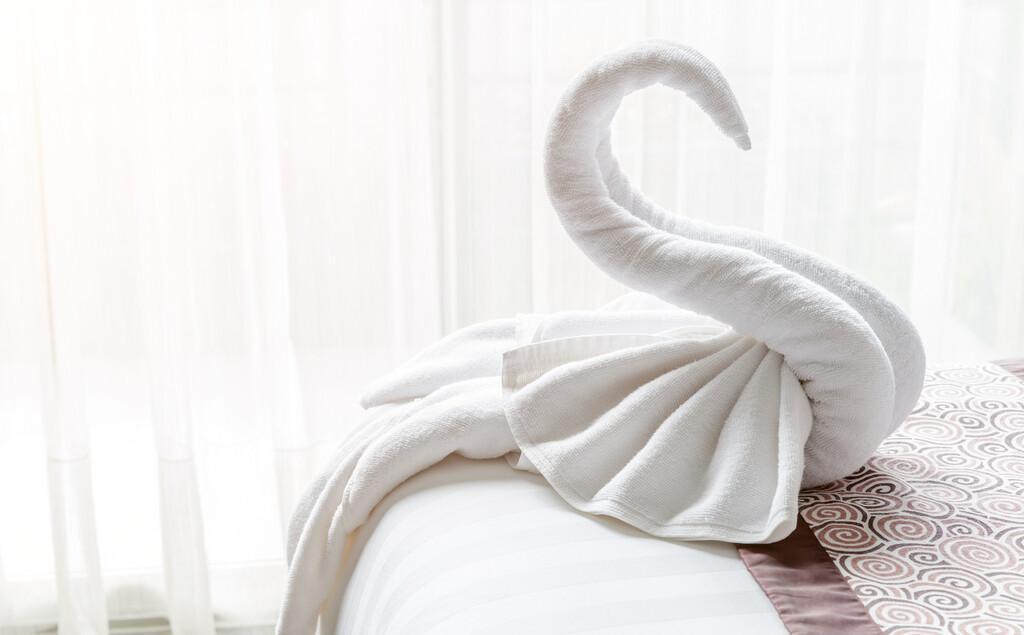 GETTING TO KNOW BREW: 20 questions with Collin GETTING TO KNOW BREW: 20 questions with Collin