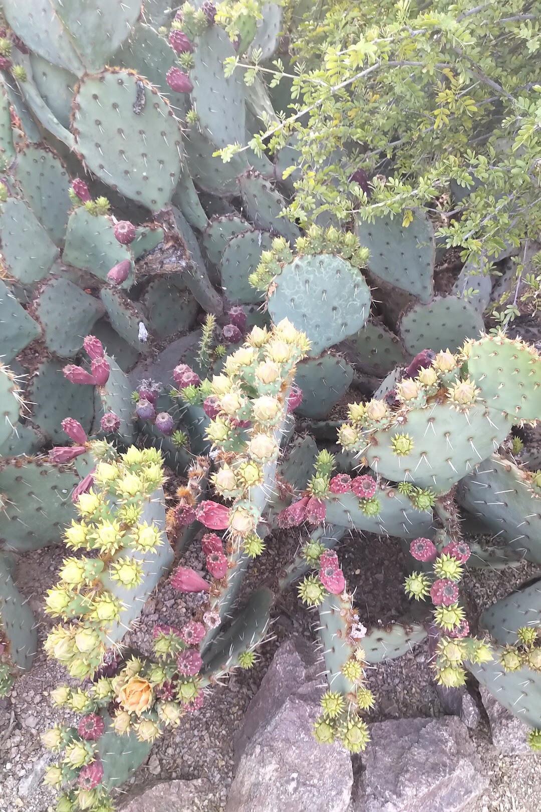 LIVE UPDATES: Buff Road Trip Weekend!