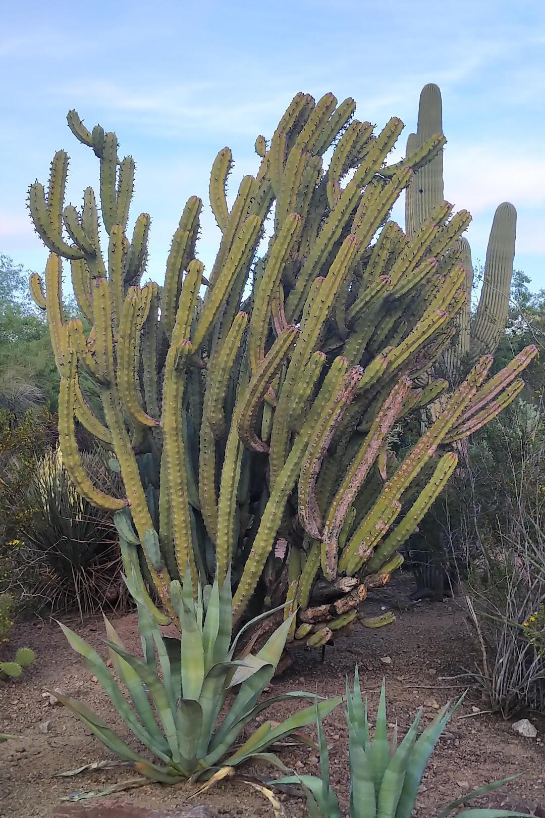 LIVE UPDATES: Buff Road Trip Weekend!