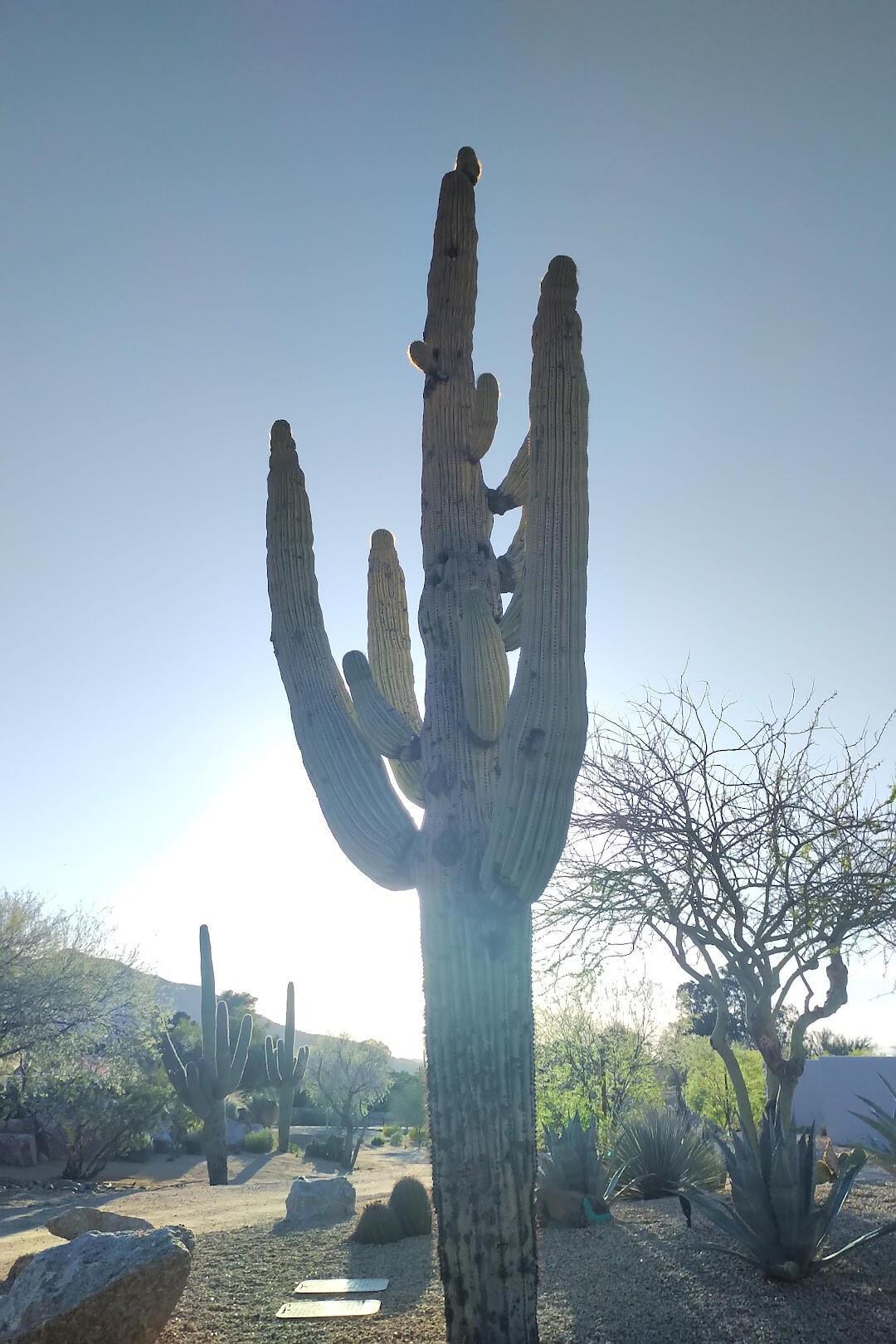 LIVE UPDATES: Buff Road Trip Weekend!