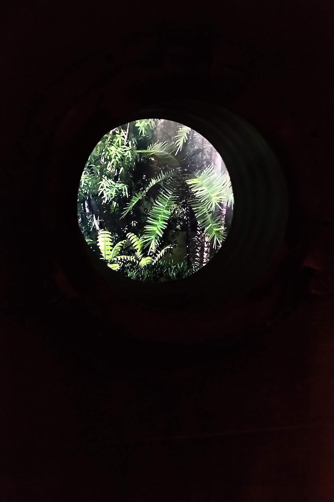 LIVE UPDATES: Buff Road Trip Weekend!