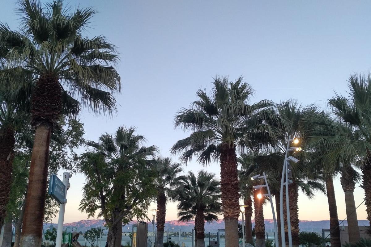 LIVE UPDATES: Buff Road Trip Weekend! LIVE UPDATES: Buff Road Trip Weekend!