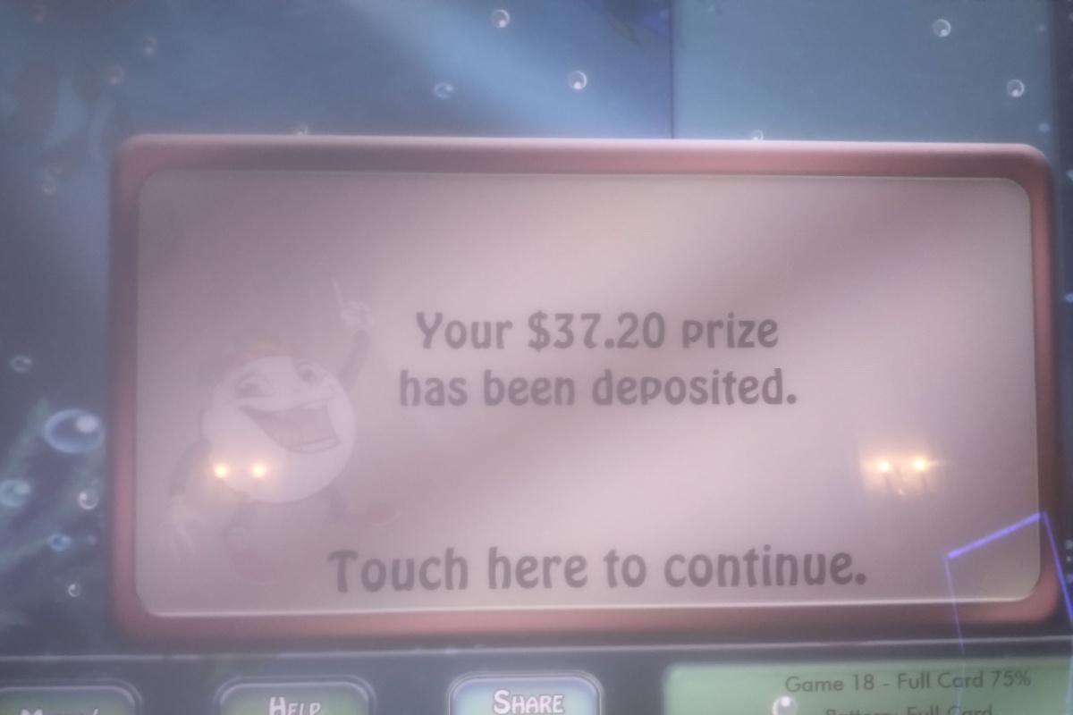 Viva Lost Vegas 2.0: Human Magic Show & Big Bingo Wins