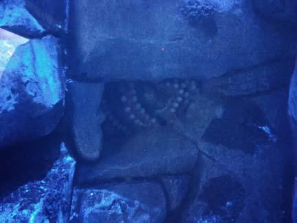 A splash and a spin in Houston A splash and a spin in Houston